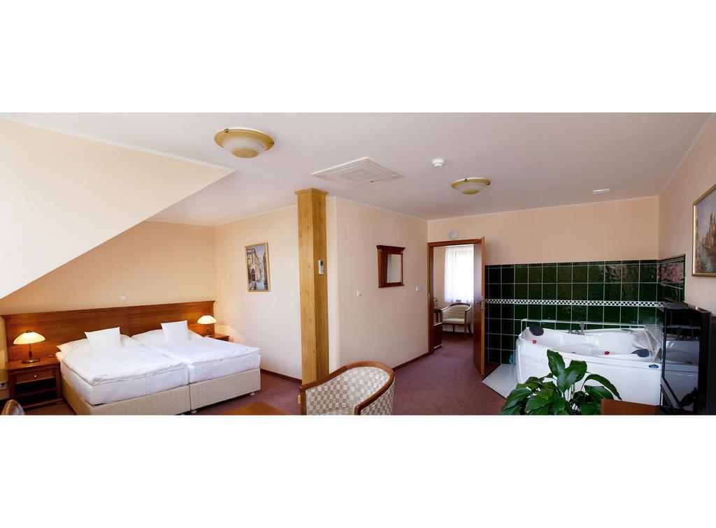 Wellness Hotel Ida Františkovy Lázně Cameră foto